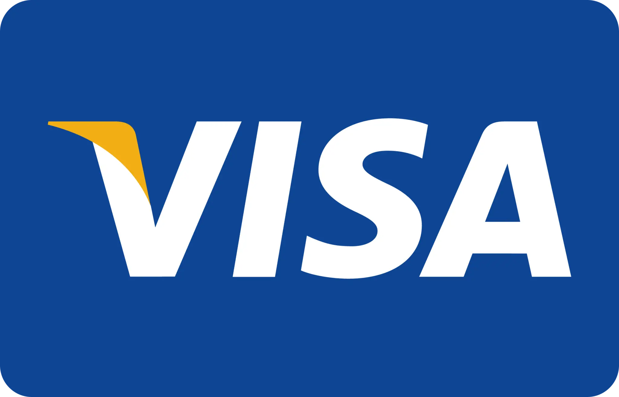 Visa Icon - Payment Method