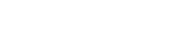 BusX